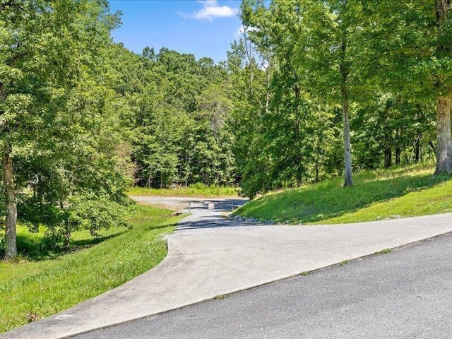 15887 Channel Pointe Dr, Sale Creek, TN 37373 - photo 33