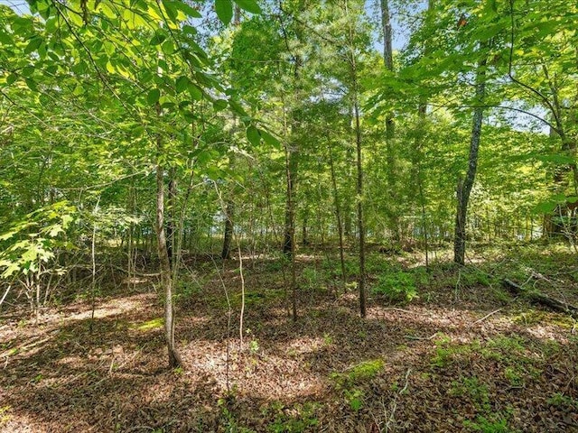 15887 Channel Pointe Dr, Sale Creek, TN 37373 - photo 30