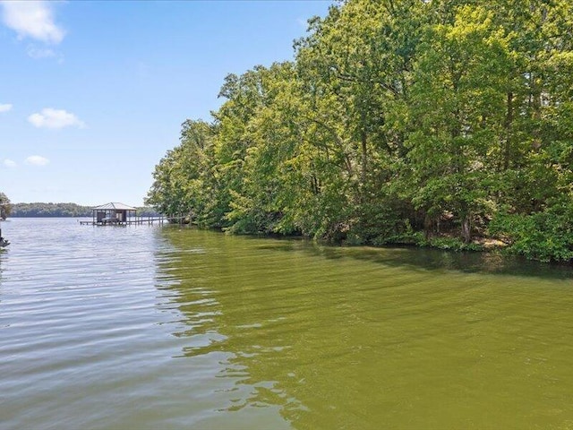15887 Channel Pointe Dr, Sale Creek, TN 37373 - photo 51
