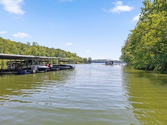 15887 Channel Pointe Dr, Sale Creek, TN 37373 - photo 50