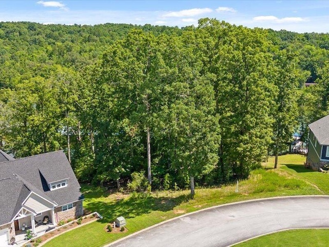 15887 Channel Pointe Dr, Sale Creek, TN 37373 - photo 12