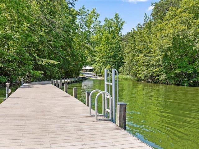 15887 Channel Pointe Dr, Sale Creek, TN 37373 - photo 22