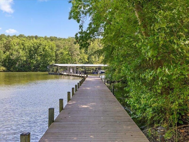 15887 Channel Pointe Dr, Sale Creek, TN 37373 - photo 47