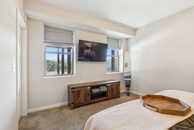 bedroom with carpet floors, multiple windows, and baseboards