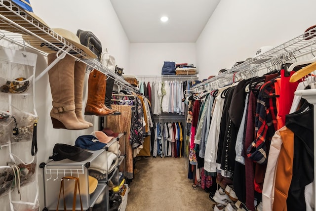 spacious closet featuring carpet flooring