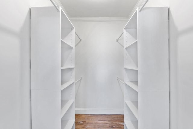 spacious closet with wood finished floors