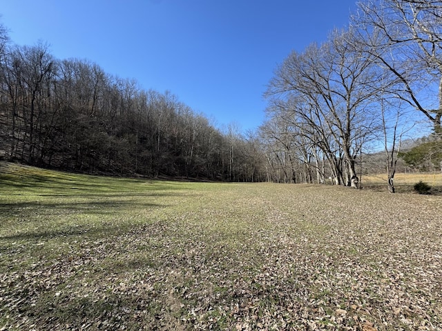 0 Waterfall Creek Rd, Collinwood TN, 38450 land for sale