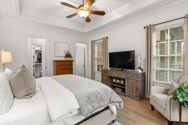 bedroom with a ceiling fan, light wood-style floors, ornamental molding, a walk in closet, and a raised ceiling