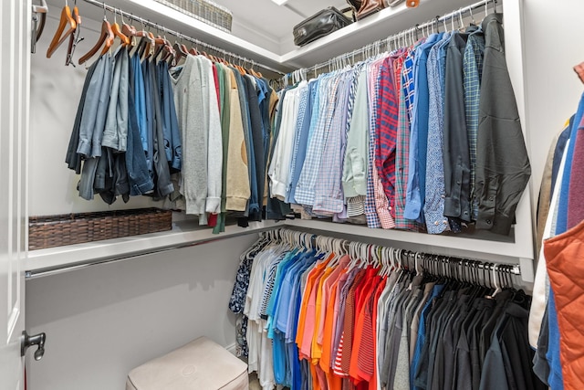 view of spacious closet