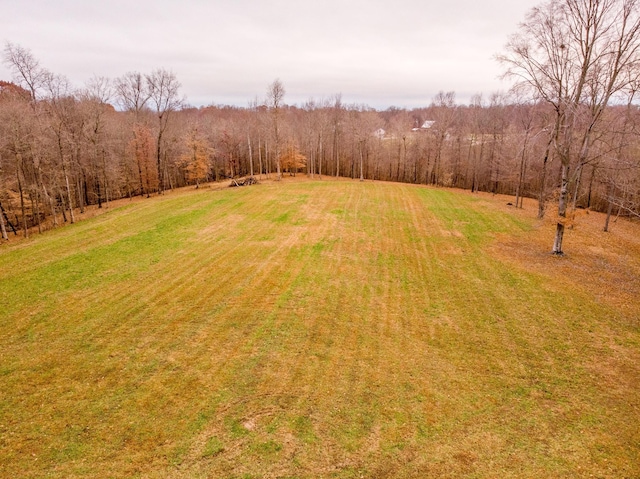 view of yard featuring a view of trees