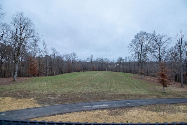 view of yard featuring a wooded view