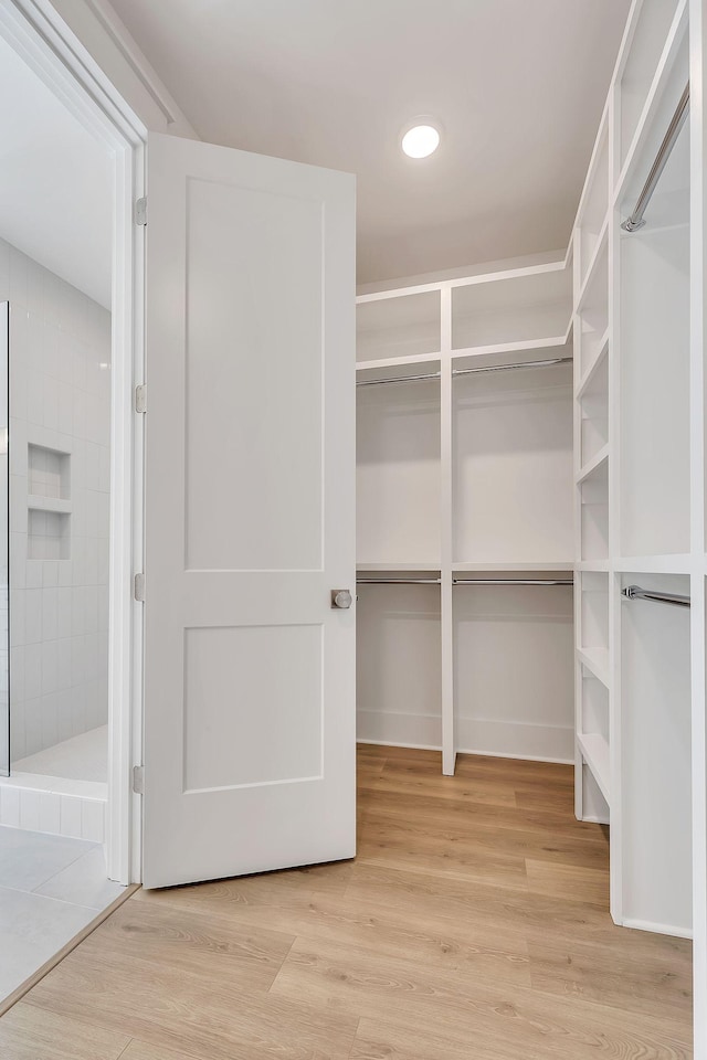 walk in closet with light wood-style flooring