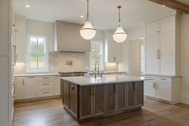 kitchen featuring white cabinets, a sink, custom range hood, and wood finished floors