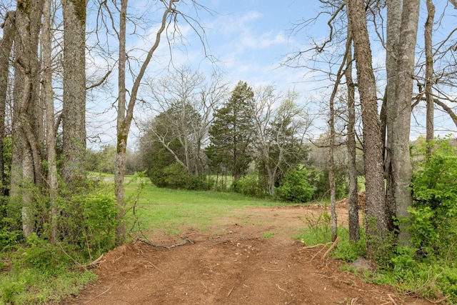 view of local wilderness