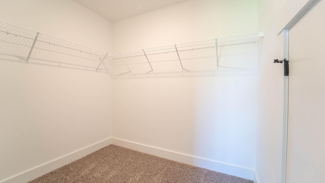 walk in closet with carpet