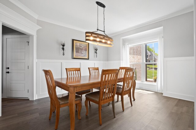 dining room with ornamental molding, wainscoting, and dark wood finished floors