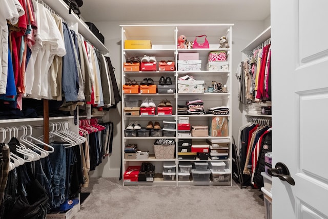 walk in closet with carpet flooring