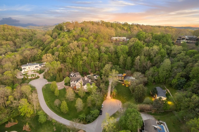 aerial view at dusk with a forest view