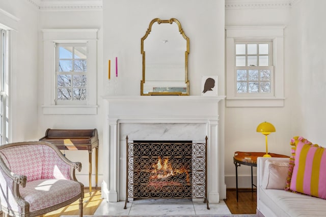 living area featuring a high end fireplace