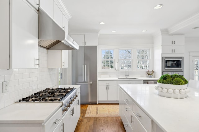 kitchen with stainless steel appliances, crown molding, light wood-type flooring, under cabinet range hood, and a sink