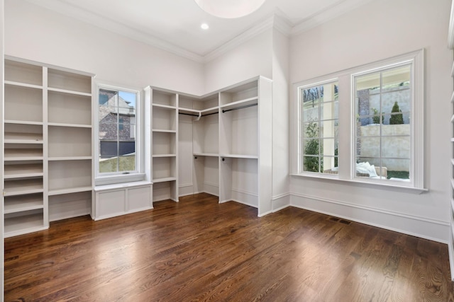 walk in closet featuring visible vents and dark wood finished floors