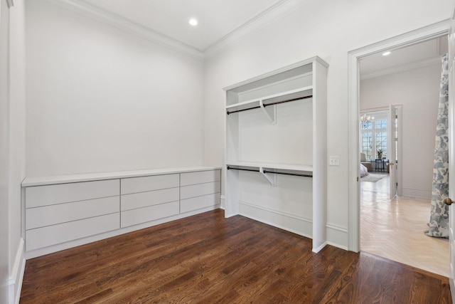 spacious closet featuring wood finished floors