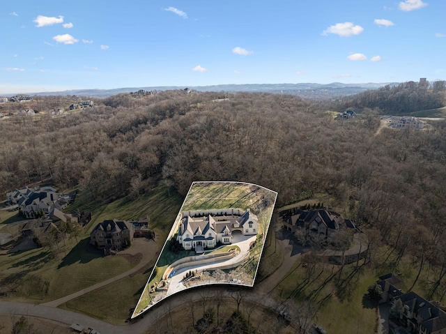 bird's eye view with a forest view