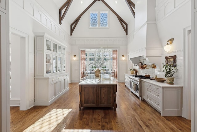 kitchen featuring range with two ovens, plenty of natural light, a kitchen island with sink, and dark wood finished floors