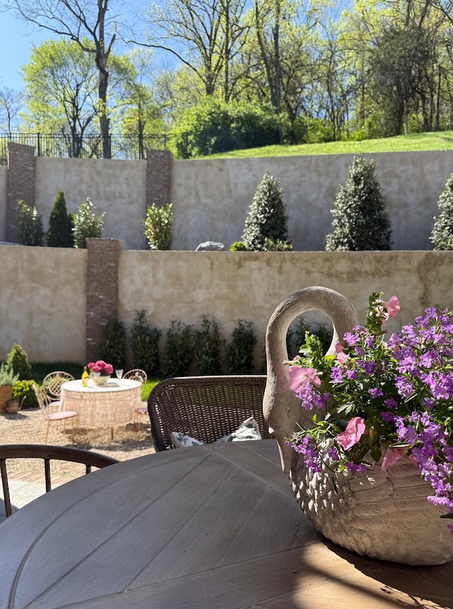 391 The Lady Of The Lake Ln, Franklin, TN 37067 - view of yard with fence