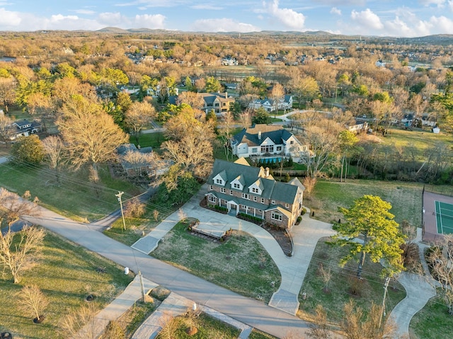 bird's eye view