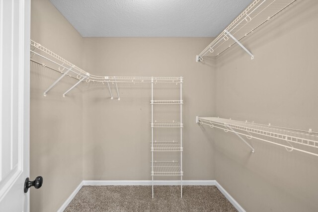 spacious closet with carpet flooring