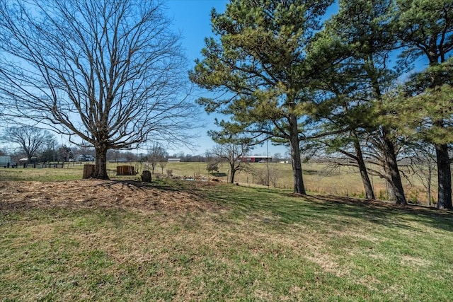 view of yard with a rural view