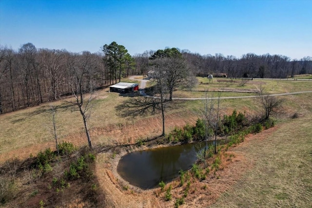 view of yard featuring a forest view and a rural view