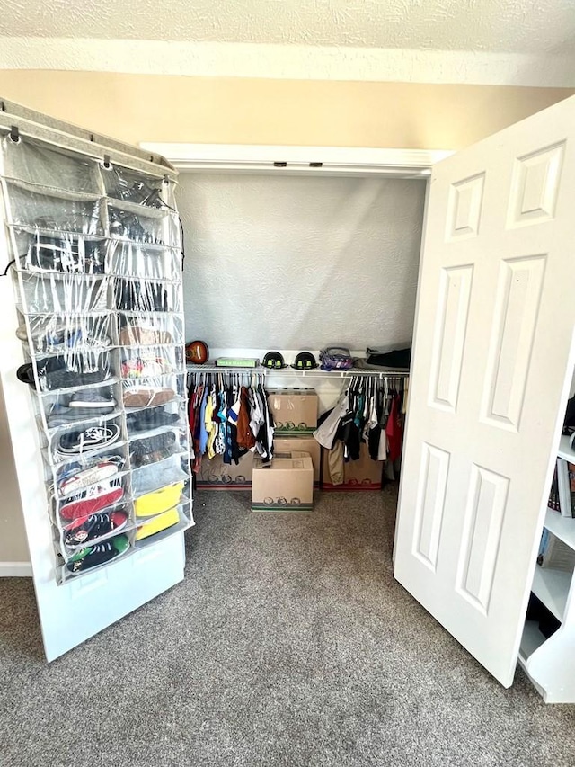 spacious closet featuring carpet flooring