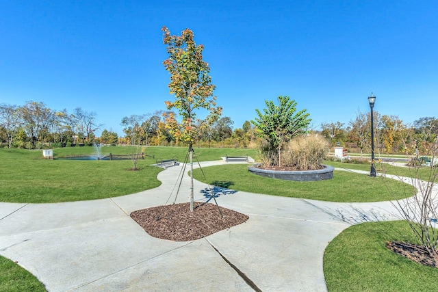 view of property's community featuring a yard