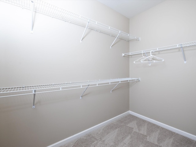 walk in closet featuring carpet floors