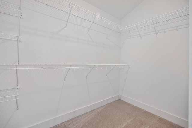 walk in closet with lofted ceiling and carpet flooring