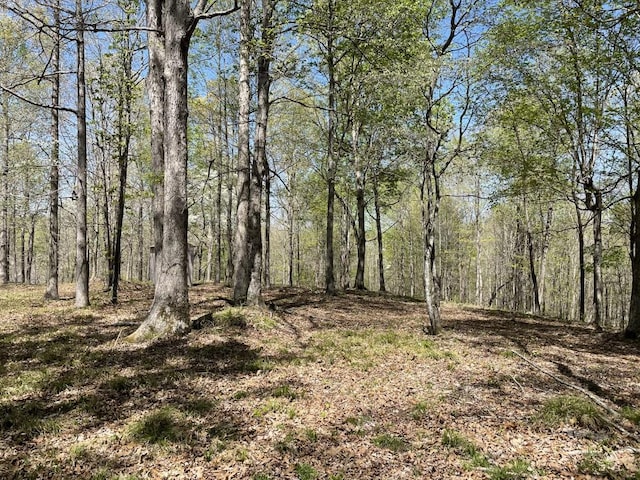 0 Waynoe Rd, Ashland City TN, 37015 land for sale