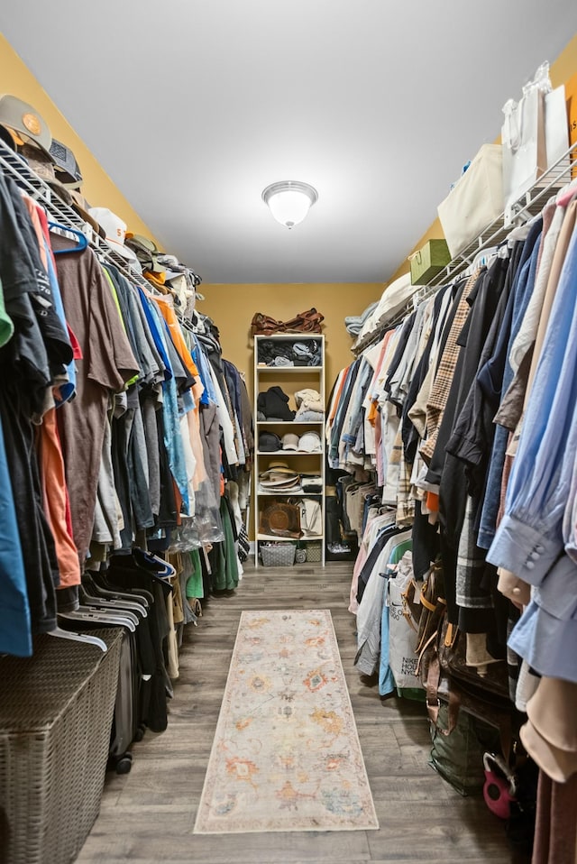 spacious closet featuring wood finished floors