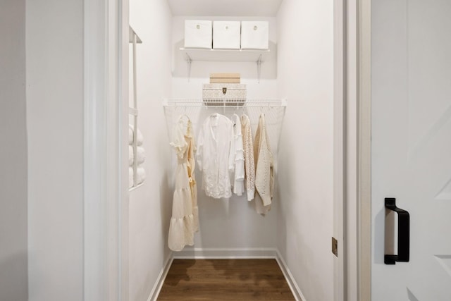 spacious closet featuring dark wood-style floors