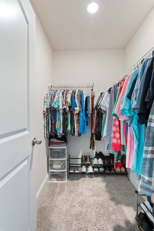 walk in closet with carpet floors