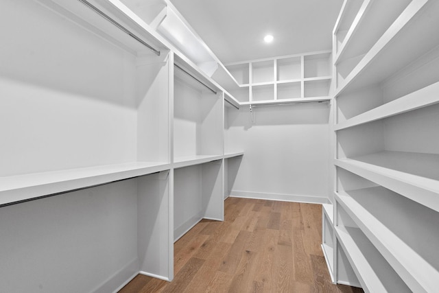 spacious closet featuring wood finished floors