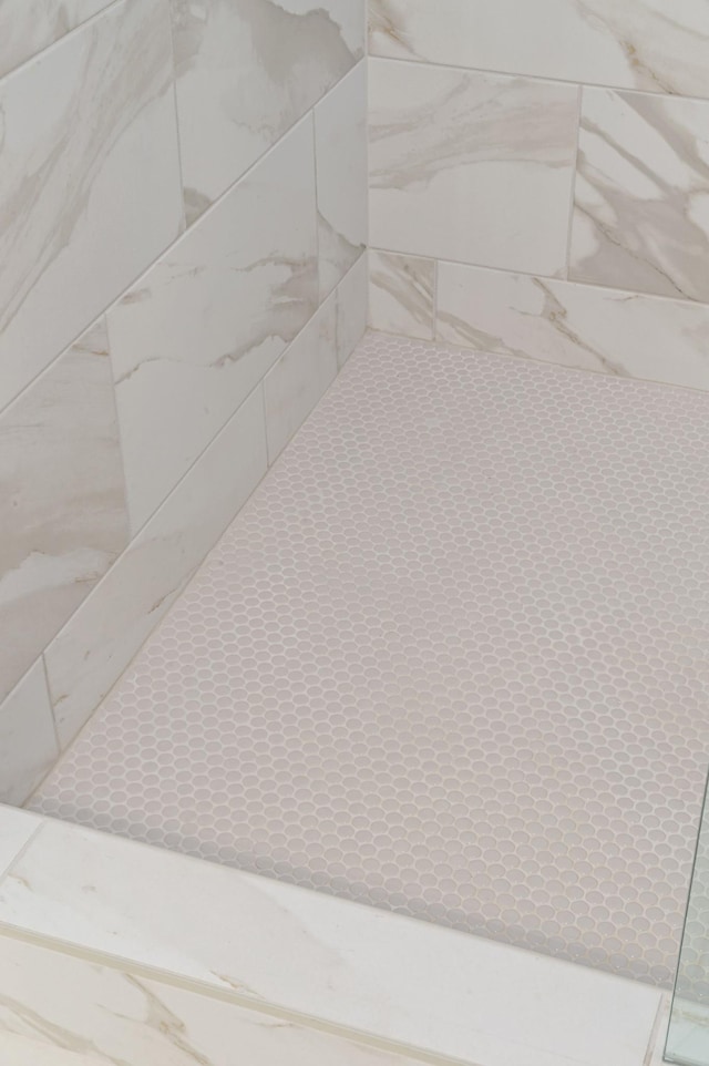 room details with tiled shower