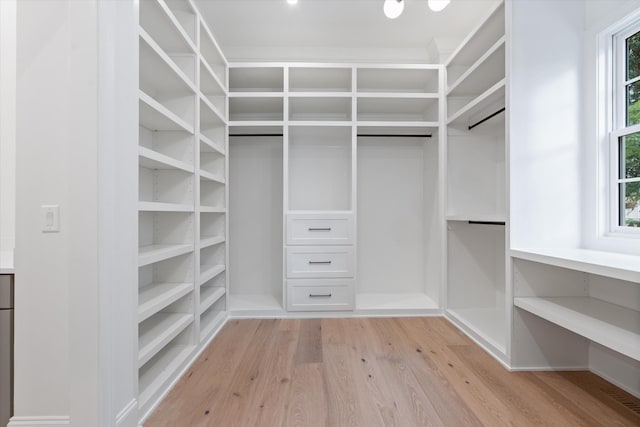 spacious closet featuring light wood-style flooring