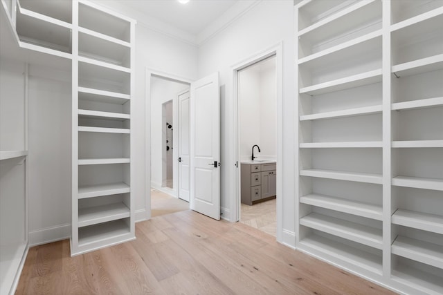 spacious closet featuring light wood-type flooring and a sink