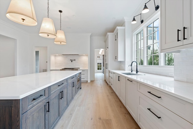 kitchen with a sink, ornamental molding, a wealth of natural light, light wood finished floors, and tasteful backsplash