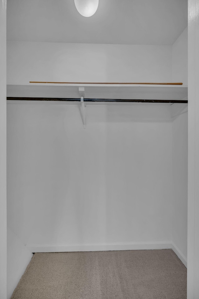 spacious closet with carpet flooring