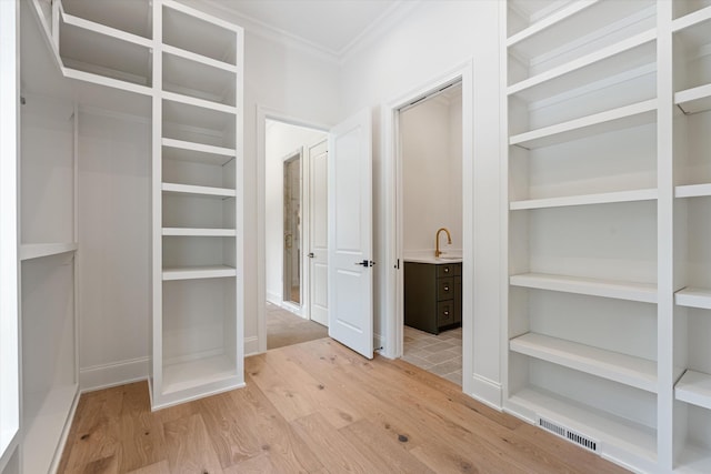 spacious closet featuring light wood-type flooring, visible vents, and a sink