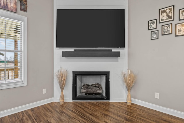 room details with a large fireplace, baseboards, and wood finished floors