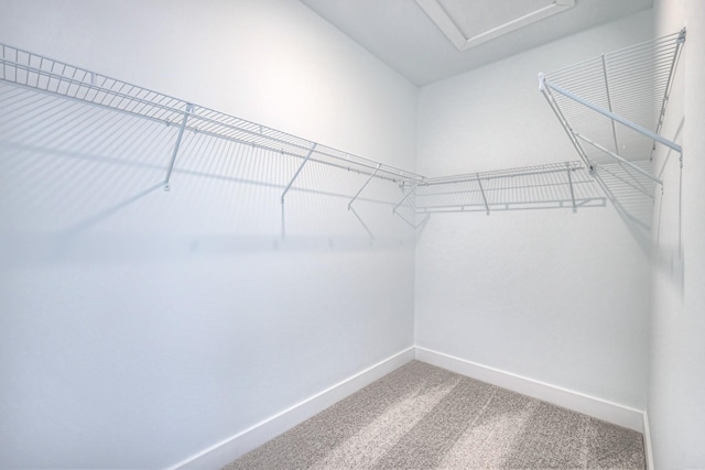 walk in closet featuring carpet floors and attic access